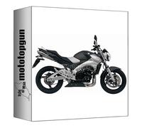 mivv 2 scarico omologato cat-oem x-cone inox posizione sottocoda compatibile con suzuki gsr 600 2006 2007 2008 2009 2010 mototopgun