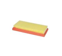 MIW Filtro aria per moto, compatibile con/sostituzione per Ducati 937 Desertx 2022, Ducati 937 Monster + ABS 2021, Ducati 937 Monster ABS 2021, Ducati OEM Part No: Ducati 42610751A