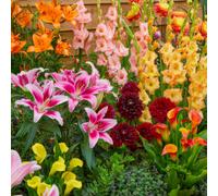 Mix di bulbi da fiore resistenti - Collezione Giardino Estivo - 25 pezzi - Multi