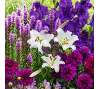 Mix di bulbi da fiore resistenti - Collezione Giardino Viola - 25 pezzi - Multic