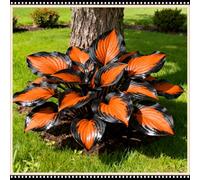 Mix di Hosta tollerante all'ombra, varietà miste, specifica per le zone d'ombra dei giardini, ideale per l'architettura del paesaggio-15 PCS-H