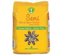 MIX DI SEMI TOSTATI 250G