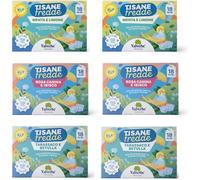 Mix Tisane fredde: Tarassaco e Betulla - Rosa Canina e Ibisco - Menta e Limone 18 Filtri - Pacco da 6-165 g