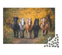 Mixed Color Icelandic Cavallo 1000pcs (75x50cm) - Forestaa Puzzle Per Adulti GioGattotolo Fai-da-te