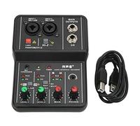 Mixer Audio, Mixer Audio a 2 Canali, Console Mini Scheda Audio USB Portatile Interfaccia USB con Alimentazione 48V Mixaggio DJ per Karaoke Domestico, Registrazione Musicale