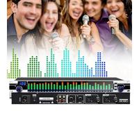 Mixer audio stereo doppio, equalizzatore a 31 bande, controller di effetti equalizzatore grafico DJ Mixer digitale Processore Eliminatore di feedback DSP con indicatori LED individuali, per studio d