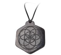 MIXIUJIEN Shungite - Gioielli da uomo - Formule geometriche sacre - Pietra di Shungite Tipo II - Collana con ciondolo (Albero del Giudizio), One Size, Agata