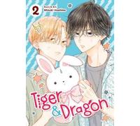 Mizuki Hoshino Tiger and Dragon Vol. 2 (Tascabile) Tiger and Dragon