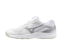 Mizuno Dummy_Title