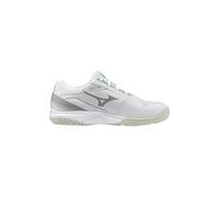 Mizuno Dummy_Title