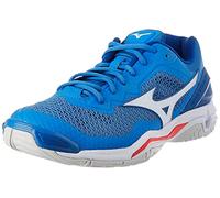 Mizuno Wave Stealth V X1GA180024, Mens Handball Shoes, Blue, 44,5 EU