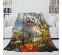 MJASVNDFO Bichon Frise Coperta Flanella - Coperte Morbida Regalo Compleanno Per Il Marito/fidanzato/fidanzata - Camera Da Letto Soggiorno Divano Culla Decoro 70x80inch(180x200cm)