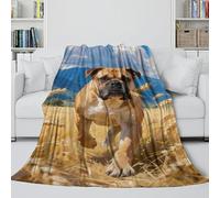 MJASVNDFO Bulldog Coperta - Coltre Per L'aria Condizionata Regalo Compleanno Per Il Marito/fidanzato/fidanzata - Camera Da Letto Soggiorno Divano Decoro 60x80inch(150x200cm)