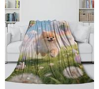 MJASVNDFO Cucciolo di Pomerania Coperta Flanella - Coperte Morbida Regalo Compleanno Per Il Marito/fidanzato/fidanzata - Camera Da Letto Soggiorno Divano Culla Decoro 50x60inch(127x152cm)