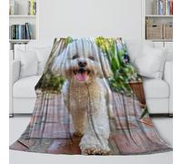 MJASVNDFO Maltese Coperta Tendenza - Coltre Per L'aria Condizionata Regalo Compleanno Per Il Marito/fidanzato/fidanzata - Divano Letto Decoro 60x80inch(150x200cm)