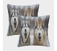 MJFCoin Husky siberiano Federa Per Cuscino Set Di 2 Per Soggiorno, Camera Da Letto, Divano cane Copricuscino Decorazione Domestica Copricuscino 40x40cm