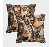 MJFCoin Pastore Australiano Federa Per Cuscino Set Di 2 Per Divano Giardino Cuscini Decorativi Aussie Copricuscino Facile Da Pulire Copricuscino 50x50cm