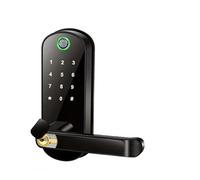MJFVN Serratura intelligente for porta con impronta digitale, telecomando, senza chiave, password digitale, elettrica, impermeabile(Noir)
