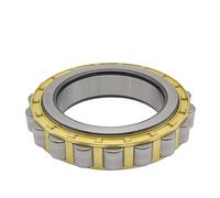 MJINA 1 pz. Cuscinetto a rulli cilindrici Senza Anello Esterno RN204 RN205 RN206 RN207 RN208 RN209 RN210 RN211 RN212EM(RN209EM)