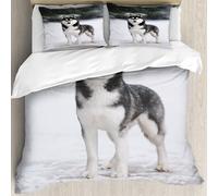 MJNLYDAO Con cuscino, reversibile, coperchio extra-large, con cerniera, fibre morbide materiale leggero,Ritratto di un husky siberiano in bianco e nero in piedi contro la neve blu. Can,228x264cm