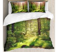 MJNLYDAO Con cuscino, reversibile, coperchio extra-large, con cerniera, fibre morbide materiale leggero,Fattoria, magico riflesso di luce nel profondo della foresta di betulle,autunnal,228x264cm