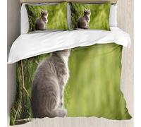 MJNLYDAO Con cuscino, reversibile, coperchio extra-large, con cerniera, fibre morbide materiale leggero,Gatto divertente seduto gattino amante degli animali domestici che guarda il cie,228x264cm