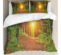 MJNLYDAO Con cuscino, reversibile, coperchio extra-large, con cerniera, fibre morbide materiale leggero,Fattoria, riflesso di luce magica nel profondo della foresta betulleautunno scen,228x264cm