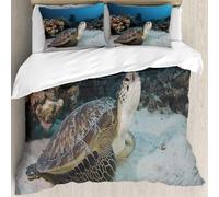 MJNLYDAO Con cuscino, reversibile, coperchio extra-large, con cerniera, fibre morbide materiale leggero,Tartaruga verde sulla barriera corallina di Marsa Shagra nel Mar Rosso in Egitto,228x264cm