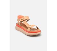 Mjus - PASADINA L17003 Beige - Sandali e scarpe aperte 41 Beige