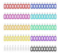 Mkitnvy 100 Portachiavi Colorato in Plastica Scrivibile,Targhette Portachiavi,Arghetta Valigia,Targhette Personalizzate,Etichette per Nomi Di Animali Domestici,Porta Chiavi Utilizzato per Bagagli