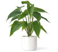 Mkono Piante finte in vaso di ceramica, piante artificiali in vaso da 28 cm, per la decorazione della casa, pianta finta foglia verde con moderna fioriera bianca per scrivania, mensola per ufficio,