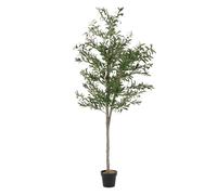 ML-Design Albero di Ulivo Artificiale 210 cm - Pianta Finta Grande con Tronco in Legno Naturale e Frutti - Decorazione Realistica in Vaso per Interni ed Esterni - Perfetto per Soggiorno e Ufficio