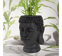 ML-Design Statua Testa di Buddha Fioriera 23x23x44 cm in Poliresina Antracite Scultura Vaso di Fiori Piante Grasse Decorazione da Casa Ufficio Giardino Cortile Balcone Ornamento per Interni/Esterni