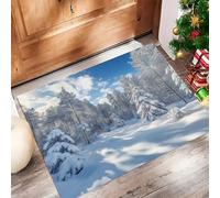 MLSOWM Tappeto Ingresso Conifera Bianca Come La Neve 40x60 cm Zerbino Ingresso Esterno Paesaggio Forestale Invernale Tappetini Lavabili Antiscivolo per Ingresso, Corridoio, Cucina - Azzurro Cielo