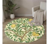 MLSOWM Tappeto rotondo Pelo Cort Stile Retrò Country Tappeti per Grandi Dimensioni Limone Tappeti Antiscivolo Tappeto per Camera letto, corridoio, sala pranzo, soggiorno, 100cm, Verde