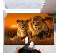 MLSOWM Zerbino Ingresso 80x120 cm, Tappeto Passatoia Il Re Leone E La Regina Antiscivolo con Bordi Resistenti Tappetino Entrata Assorbente Tramonto Nella Prateria - Lavabile in lavatrice, Arancia