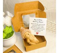 Mlthcig Little Bear in Box, My Little Worry Bear in a Box, Pocket Bears Hug, Handmade Mini Plush Teddy Bears with Hat, Send a Friend Stuffed Animals Sympathy Gift with Inspirational Card(Marrone)