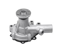 MM409302 MM409303 Pompa acqua adatta per K3A K4N K3B K3D K3E K4E S3L2 S4L2 S4L compatibile con Case IH Filtro per pompa urea