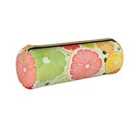 MMSJSBVY Ireland Outdoors County Clare The Cliffs - Astuccio cilindrico in pelle, per matite, grande capacità, adatto per studenti, ufficio, viaggi, pennelli da trucco, con cerniera, Pittura di agrumi