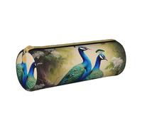 MMSJSBVY Ireland Outdoors County Clare The Cliffs - Astuccio cilindrico in pelle, per matite, grande capacità, adatto per studenti, ufficio, viaggi, pennelli da trucco, con cerniera, Pavone colorato