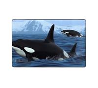 MMSJSBVY Killer Whales Swim Along, tappetino in flanella 152 x 99 cm, morbido, antiscivolo, assorbente, in memory foam, adatto per soggiorni/camere da letto/ufficio, tappetino lavabile