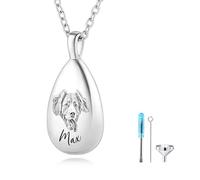 MMXX Ritratto di Animale Domestico Personalizzato Lacrima Collana Urna per Ceneri con Nome/Foto Acciaio Inossidabile Gioielli Memoriali Della Cremazione per Gli Amanti Degli Animali (Argento - Foto)
