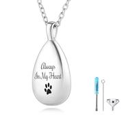 MMXX Ritratto di Animale Domestico Personalizzato Lacrima Collana Urna per Ceneri con Nome/Foto Acciaio Inossidabile Gioielli Memoriali Della Cremazione per Gli Amanti Degli Animali (Argento - Testo)