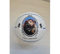 MN NIKE PALLA PALLONE BASKET PALLACANESTRO LEBRON JAMES PLAYGROUND 8P MIS. 7