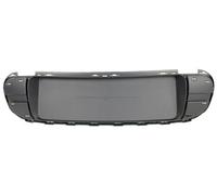MN7022150 portatarga post mod chrome line per Mini Countryman (R60) 03/10-01/17