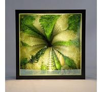 MNBVH 3D Infinity Mirror Light Moss, LED Night Light 3D Mirror Light, Infinity Lamp Tunnel Specchi per Parete, Sensory Infinity Light per Casa, Scrivania, Soggiorno, Decorazioni per Feste(Color:C)