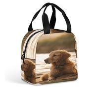 MNBVKL Sacchetto di pranzo dell'isolamento del di alluminio, borsa del pranzo stampata Retriever, borsa del pranzo all'aperto, borsa del pranzo di viaggio, borsa universale del pranzo