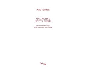 Mnemousine: l'ipotesi aperta. Per una fenomenologia della interazione ambientale