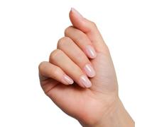 Mnp Fiber Base 104 14ml