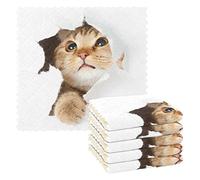 Mnsruu Simpatico gatto 6 asciugamani per piatti, panni da cucina assorbenti riutilizzabili lavabili strofinacci straccio canovacci da tè asciugamani per la pulizia della tavola